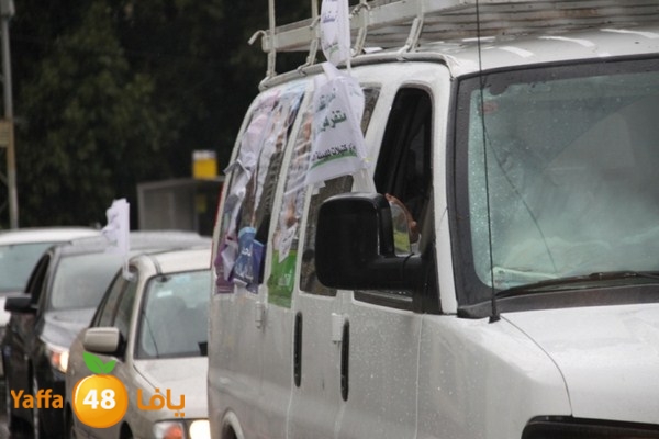 qafela sayarat haiywa (9).JPG